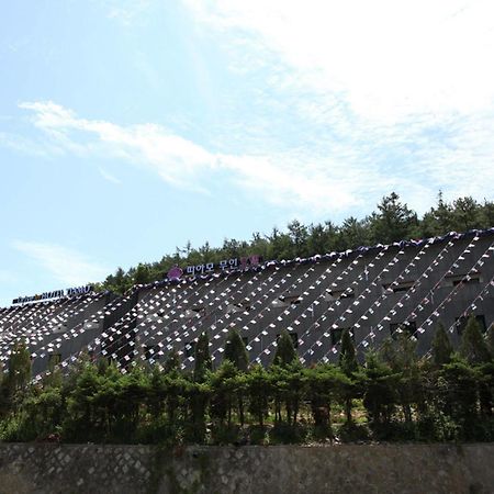 Drive In Hotel Tiamo Pocheon Exteriör bild
